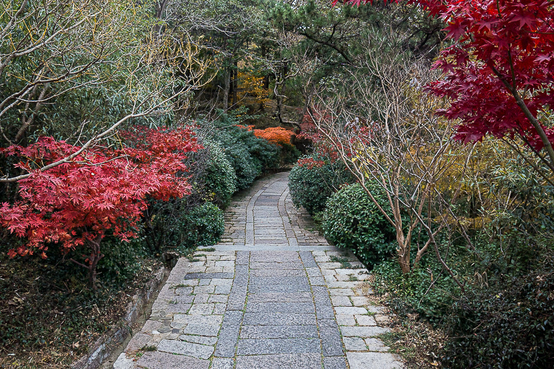 青岛景点实拍·青岛景点实拍·青岛旅游景点 (118)｜青岛包车临时加项目怎么算?行程变更费用确认